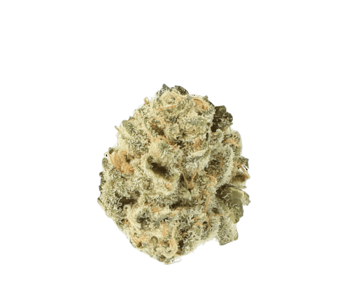 Cannamedical Indica Ultra AU - El Jefe