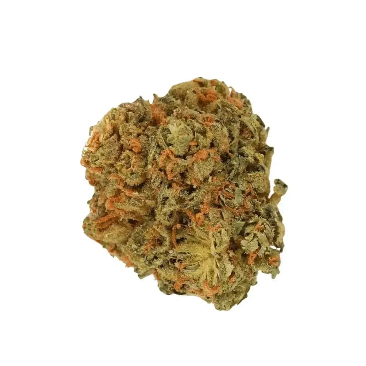 Canify 28/1 CSF Ku. - Solpina Magic
