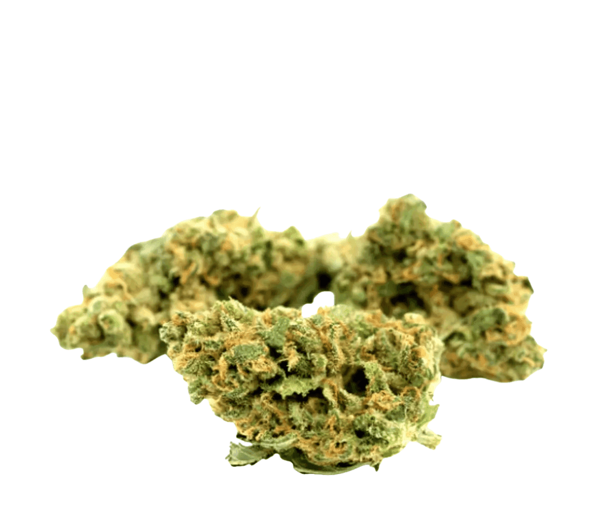 Weeco 1A 18/1 WW - White Widow