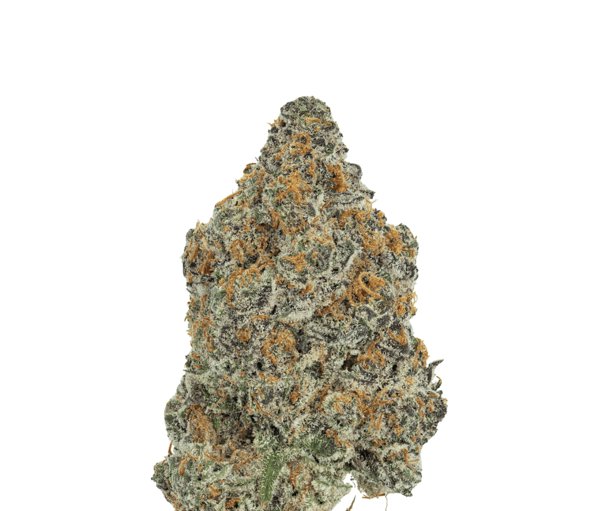 Cannabis flos 25/1 CL Ku. - Dosi Bow