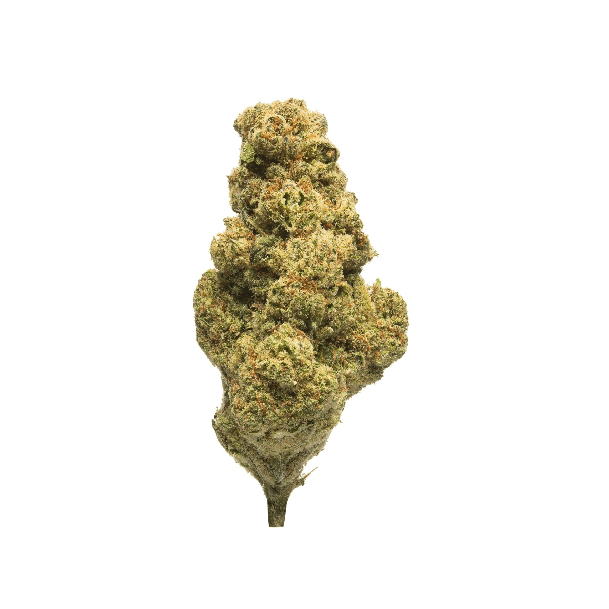 Suprobion PB 22/1 - Papaya Bomb