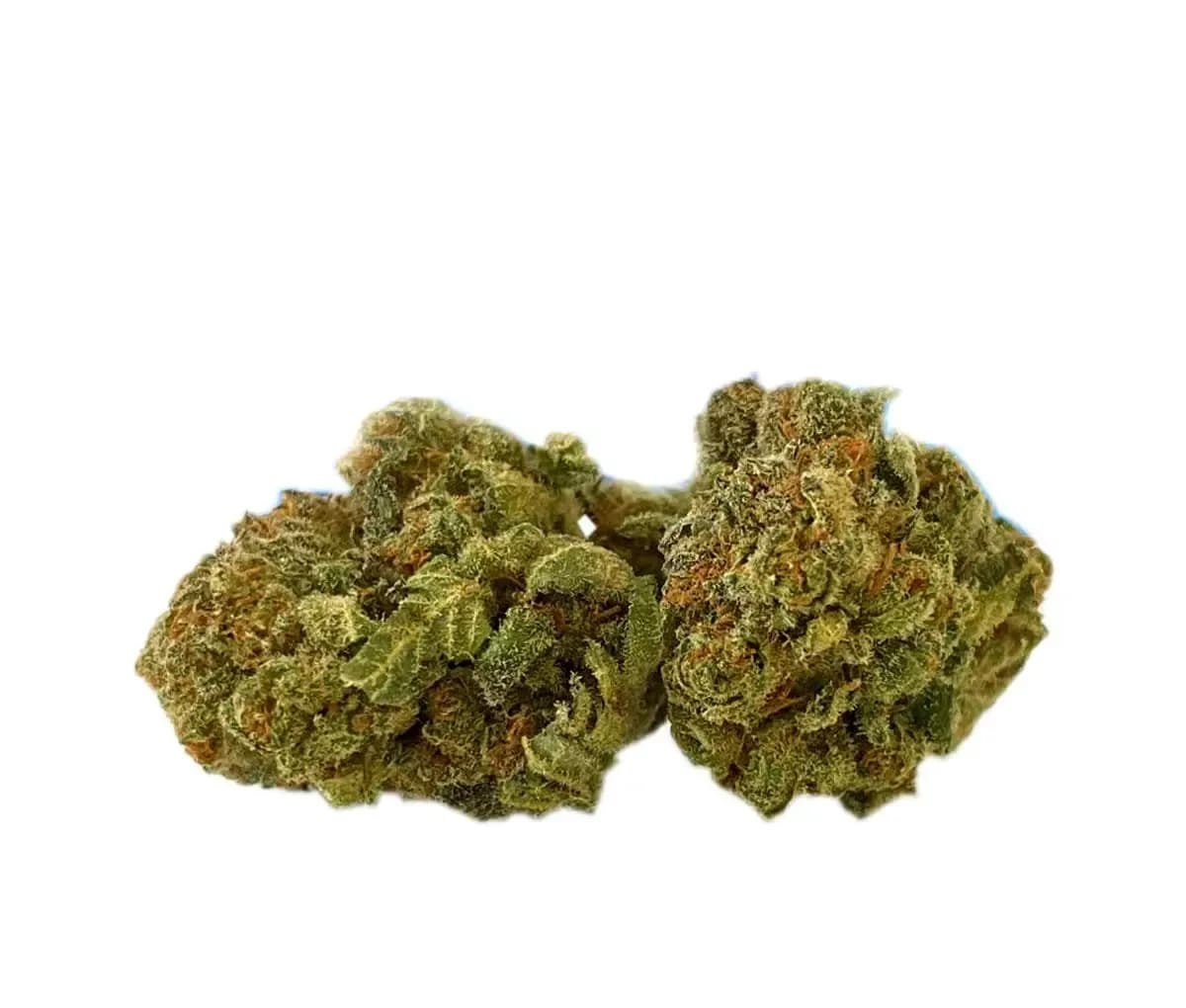Tilray THC10:CBD10 Warlock No.2 - Warlock CBD Tilray THC10:CBD10 Warlock No.2 - Warlock CBD