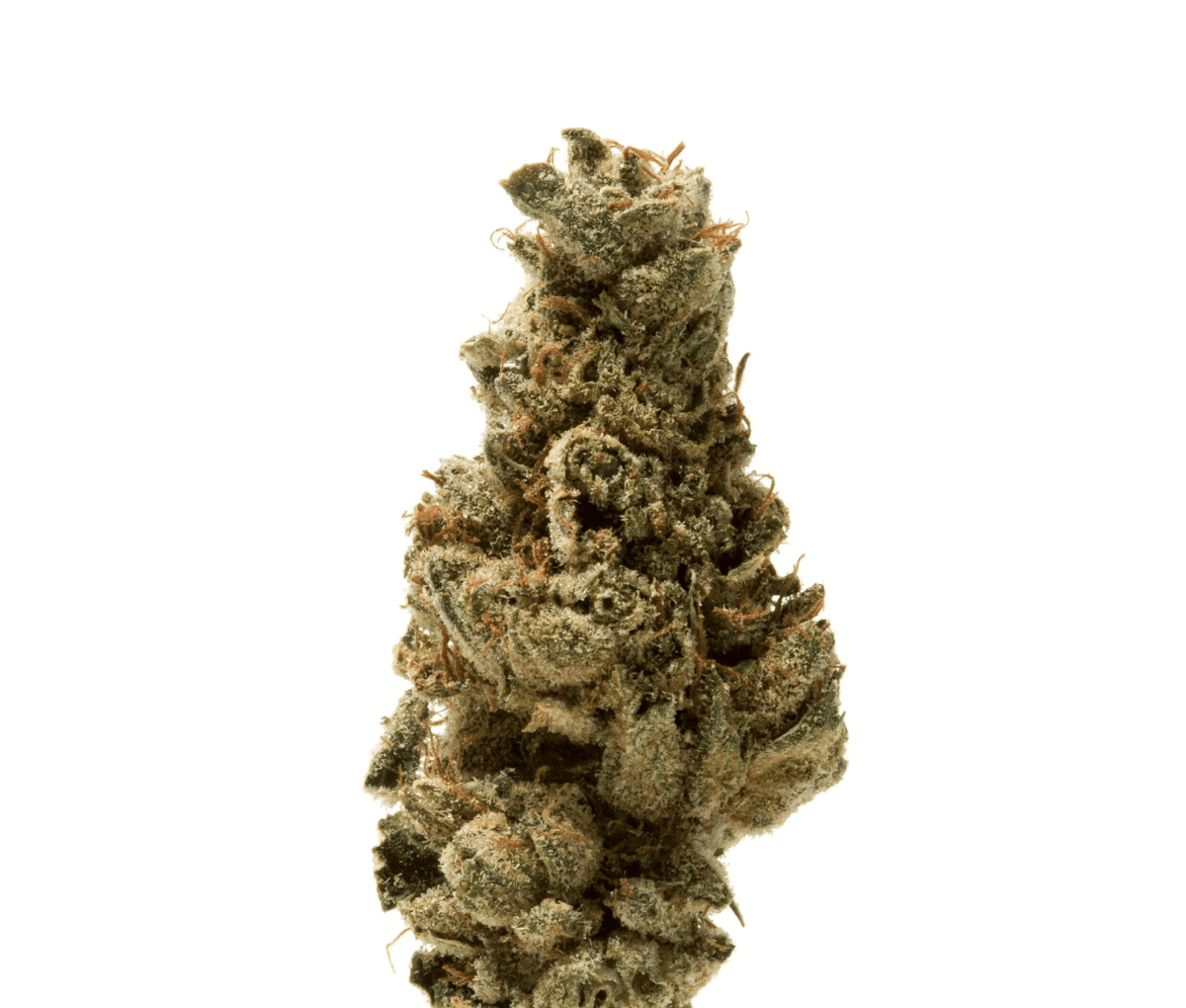 420 Compound 30/1 CA BER - Berlin Berries