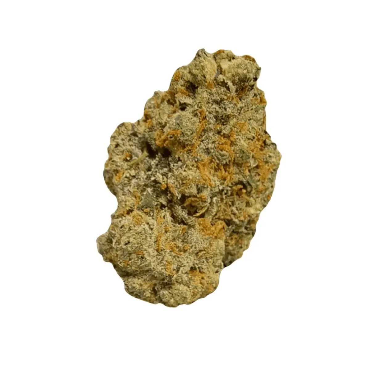 Huala 30/1 UK CIN Cinderella Kush