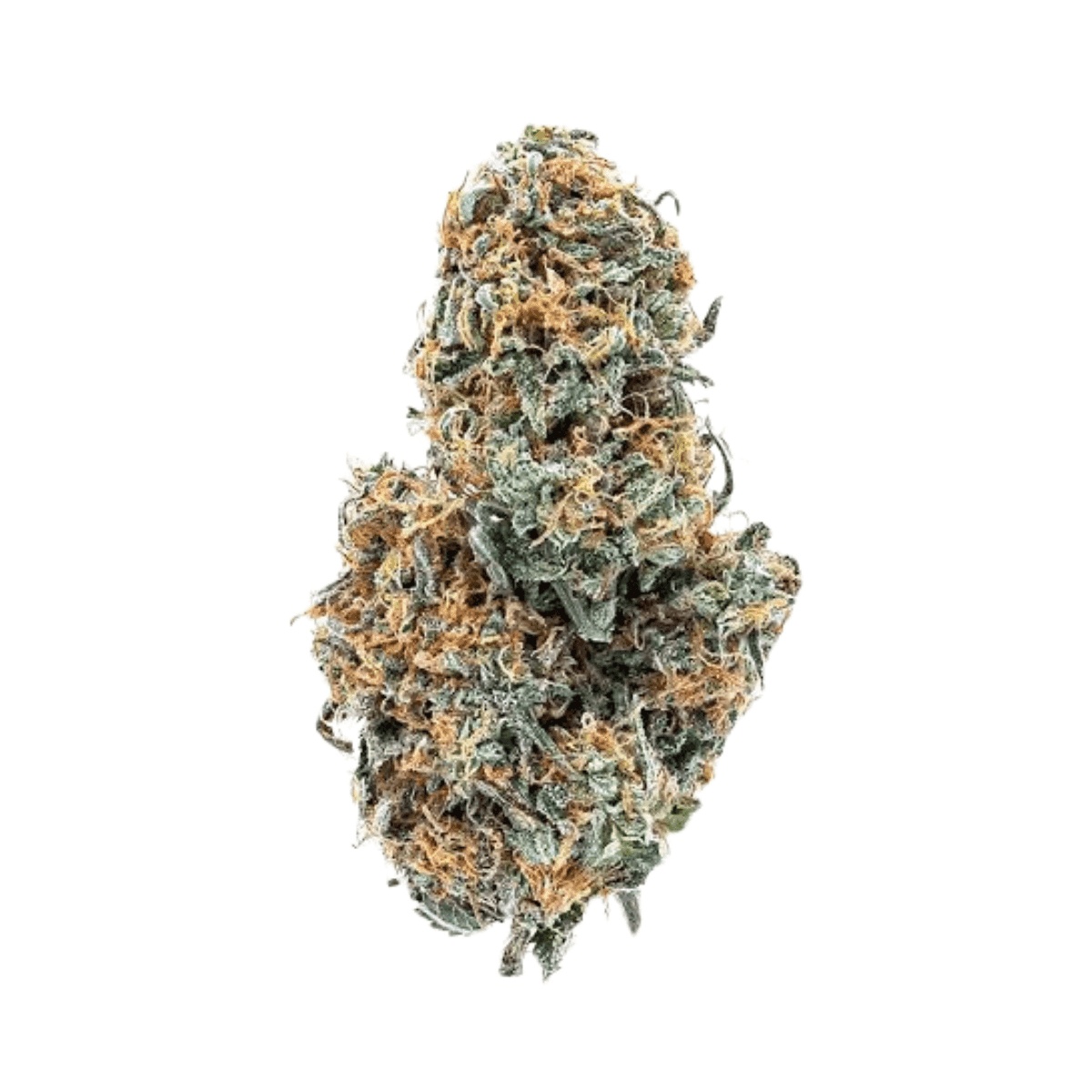 420 Evolution 27/1 CA CBB - Cherry Bang Bang