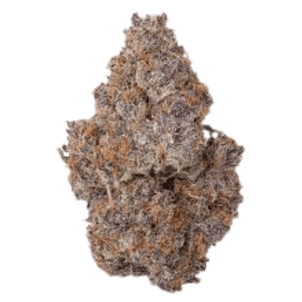 420 Evolution 30/1 CA PEX - Pineapple Fruz 420 Evolution 30/1 CA PEX - Pineapple Fruz
