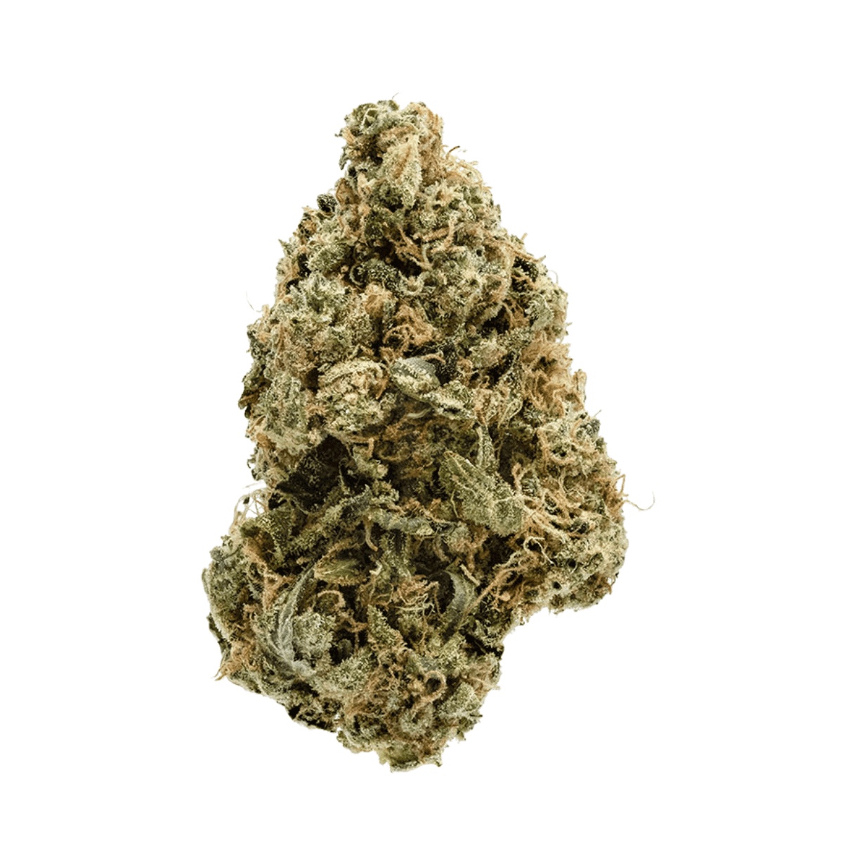 Zoiks 22/1 SLD Sun Lemon Diesel Zoiks 22/1 SLD Sun Lemon Diesel