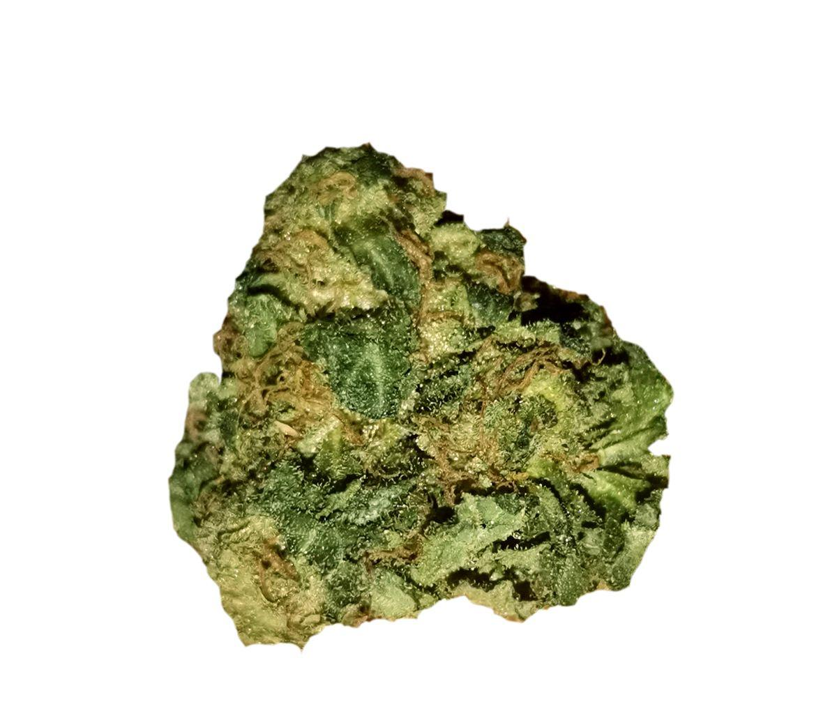 Tilray THC25 Sativa No2 - Headband
