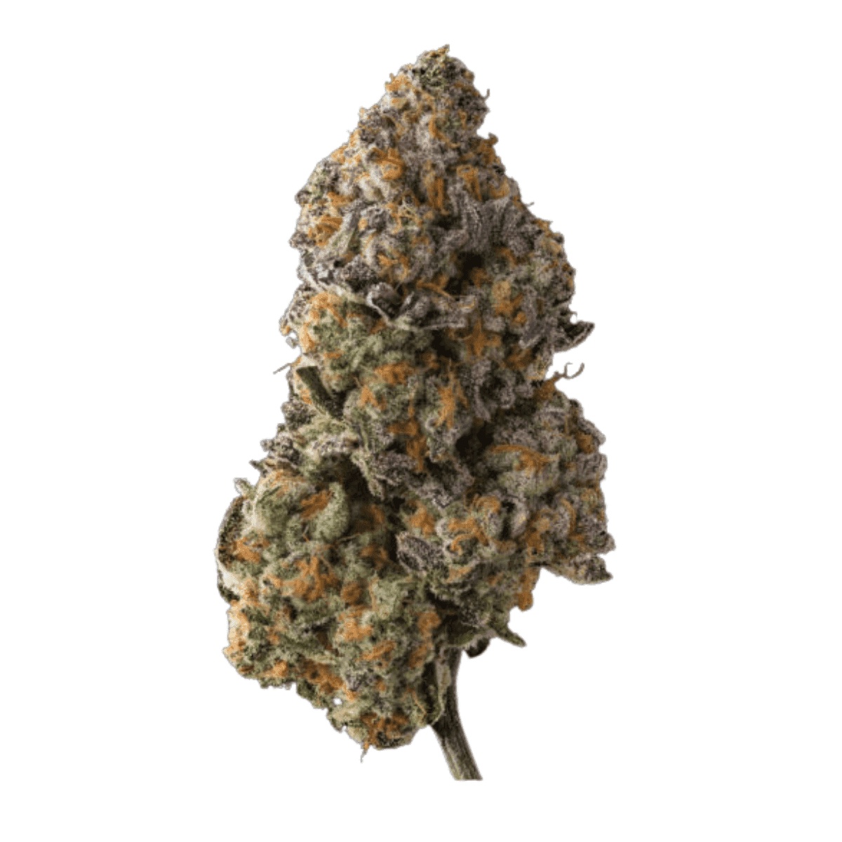 420 Evolution 33/1 CA SCM - Scented Marker 420 Evolution 33/1 CA SCM - Scented Marker