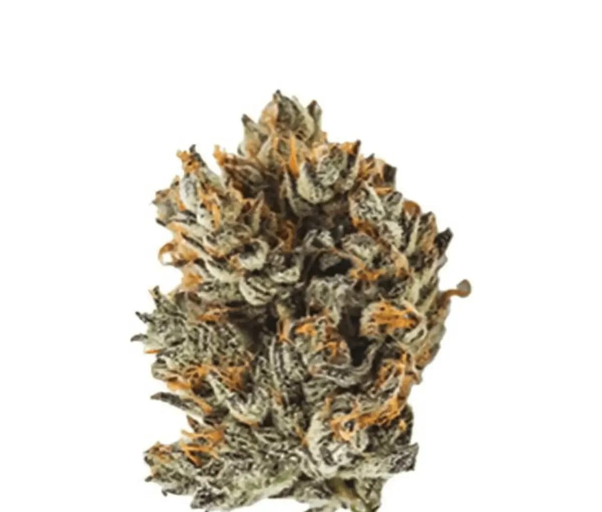 IMC THC20 GGA - Purple Grape IMC THC20 GGA - Purple Grape