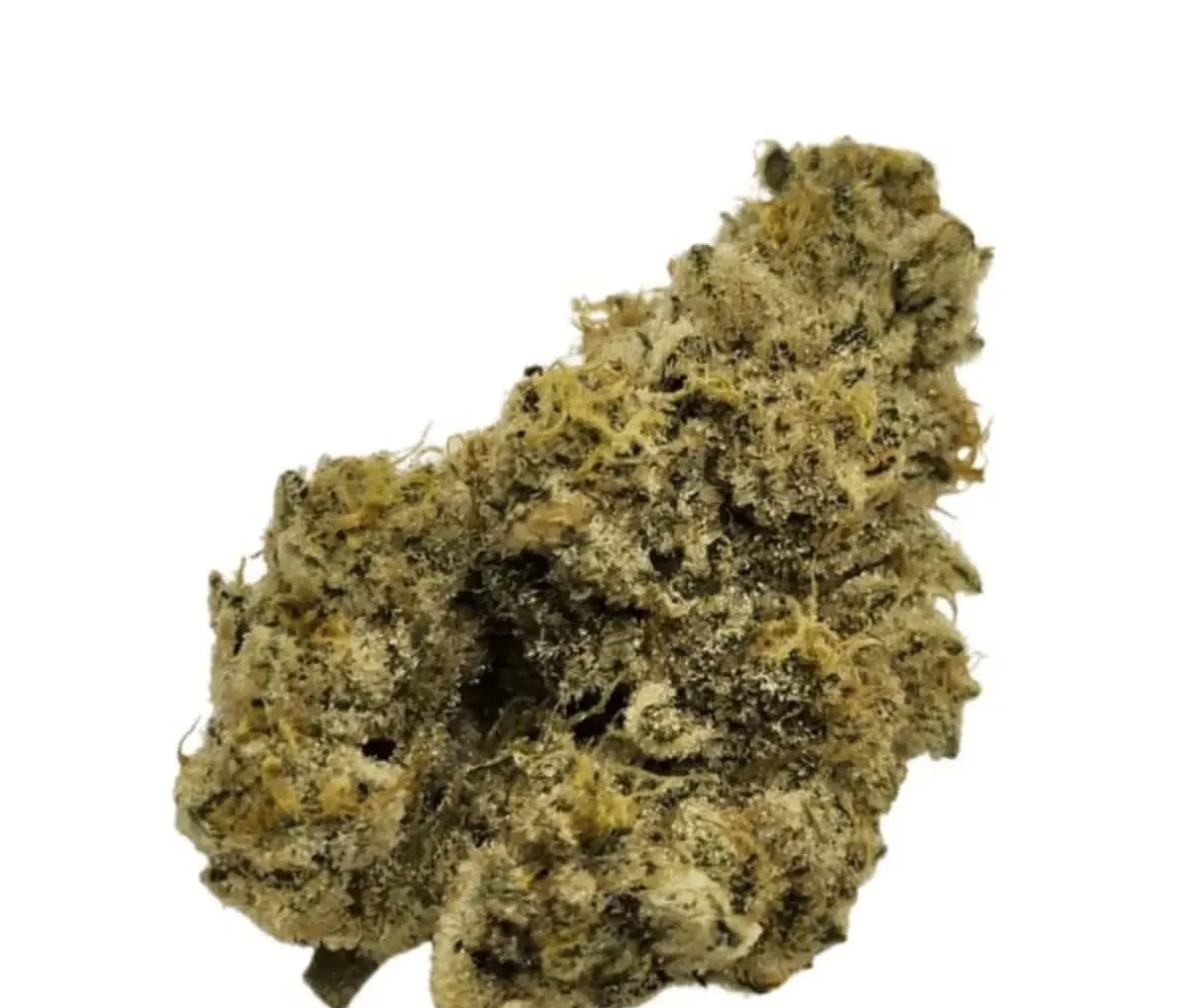 Nimbus easy 26/1 - French Cookies