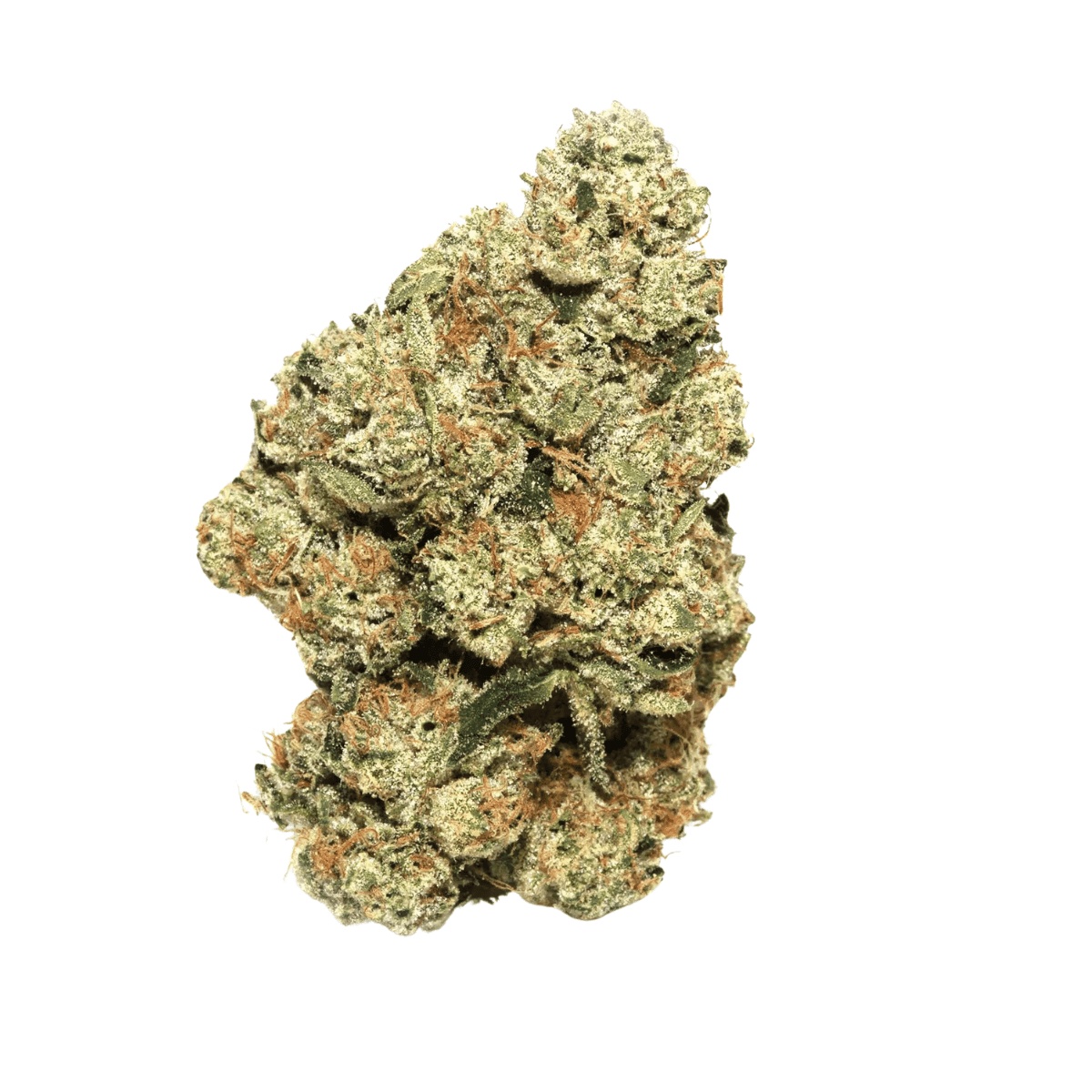 Briah MOB 25 - Motor Breath Briah MOB 25 - Motor Breath