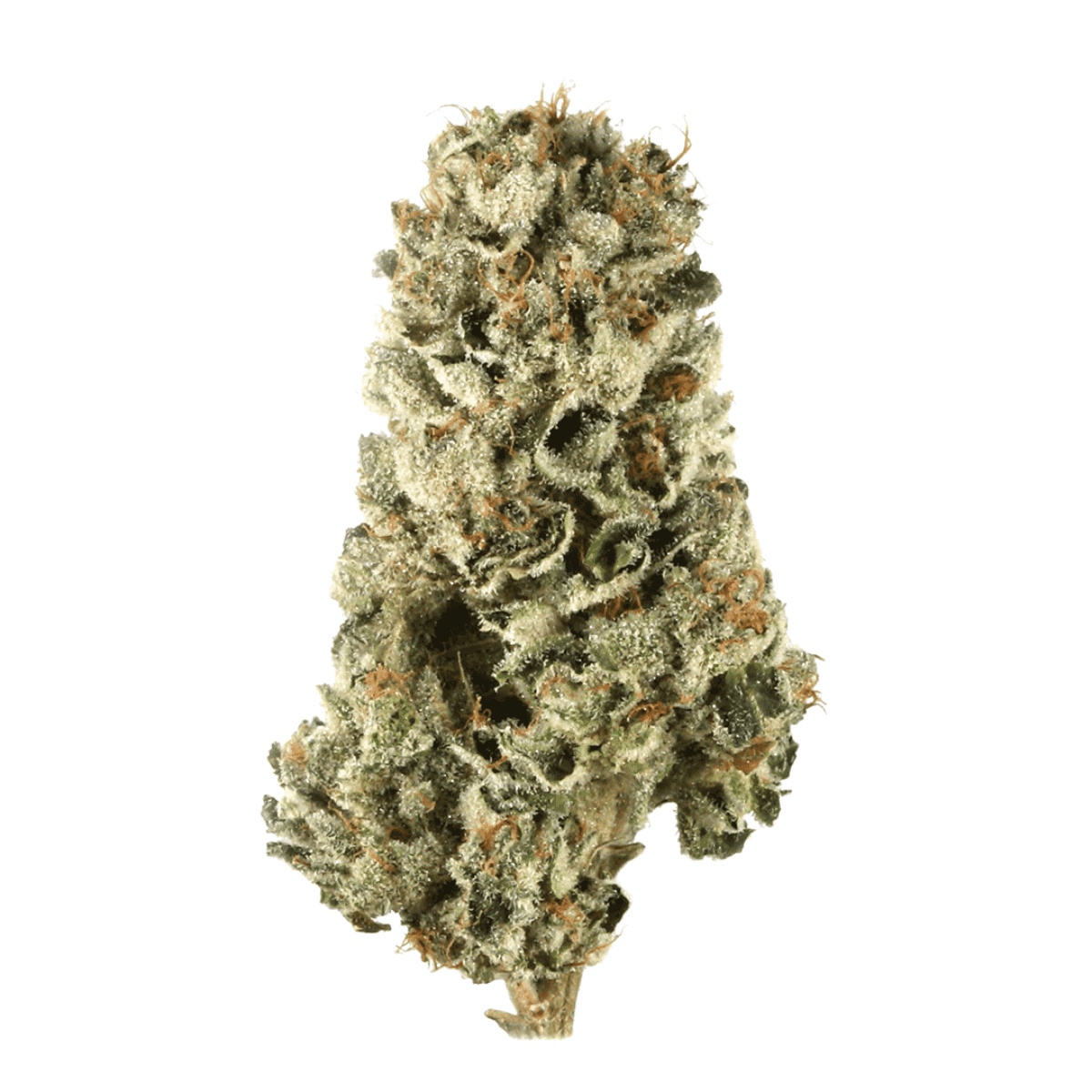 Briah LCP 30 - Lemon Cherry Pie 