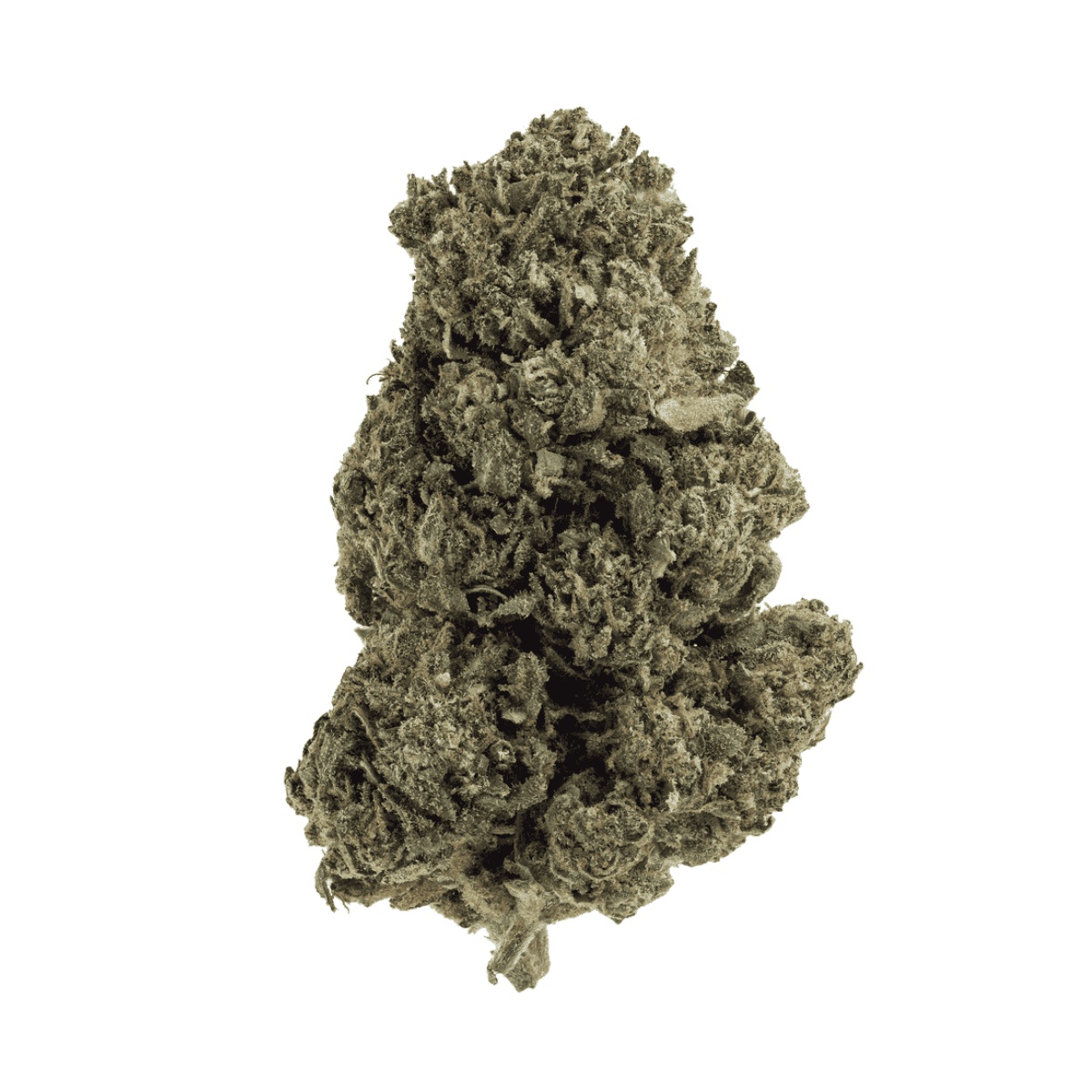 Tweed GMO 33/1 - GMOSI