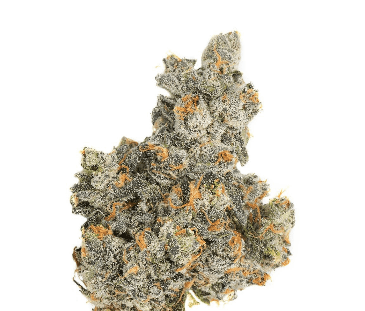 LOT420 ATA PT - Atomic Apple
