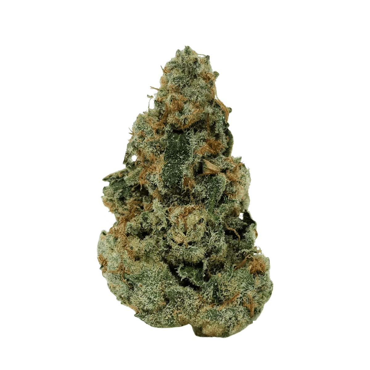 Good Supply THC10:CBD9 WLC - Warlock CBD