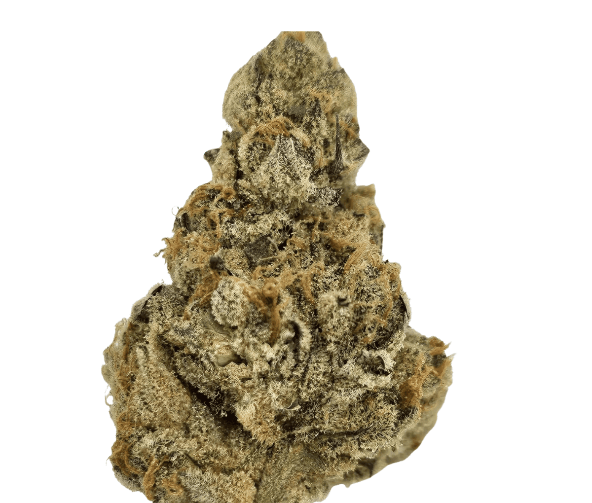 Sumo Canada Craft No.3 27/1 - Garlic Chem