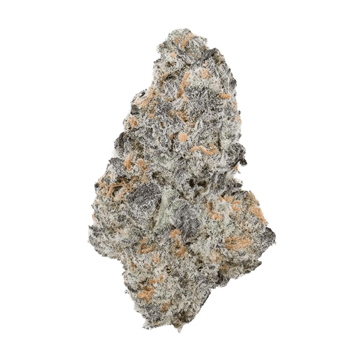 Sinceritas Sativa Verum 24/1 BG - Blueberry Gelato