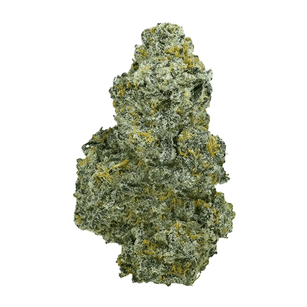 Briah GP THC 29/1 - Grape Pie Briah GP THC 29/1 - Grape Pie