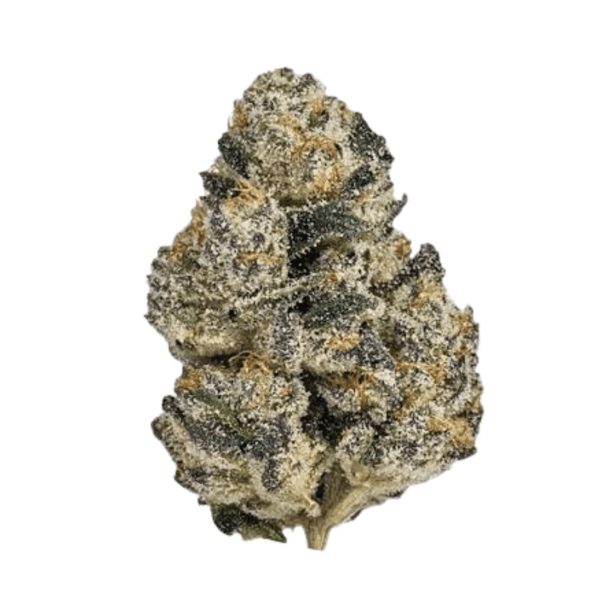 Canopy CME 28 - Chemsical