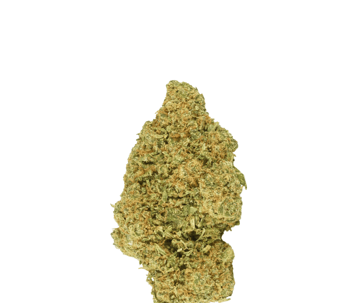 420 Natural 16/1 CA TRP Tropicana Cookies 420 Natural 16/1 CA TRP Tropicana Cookies