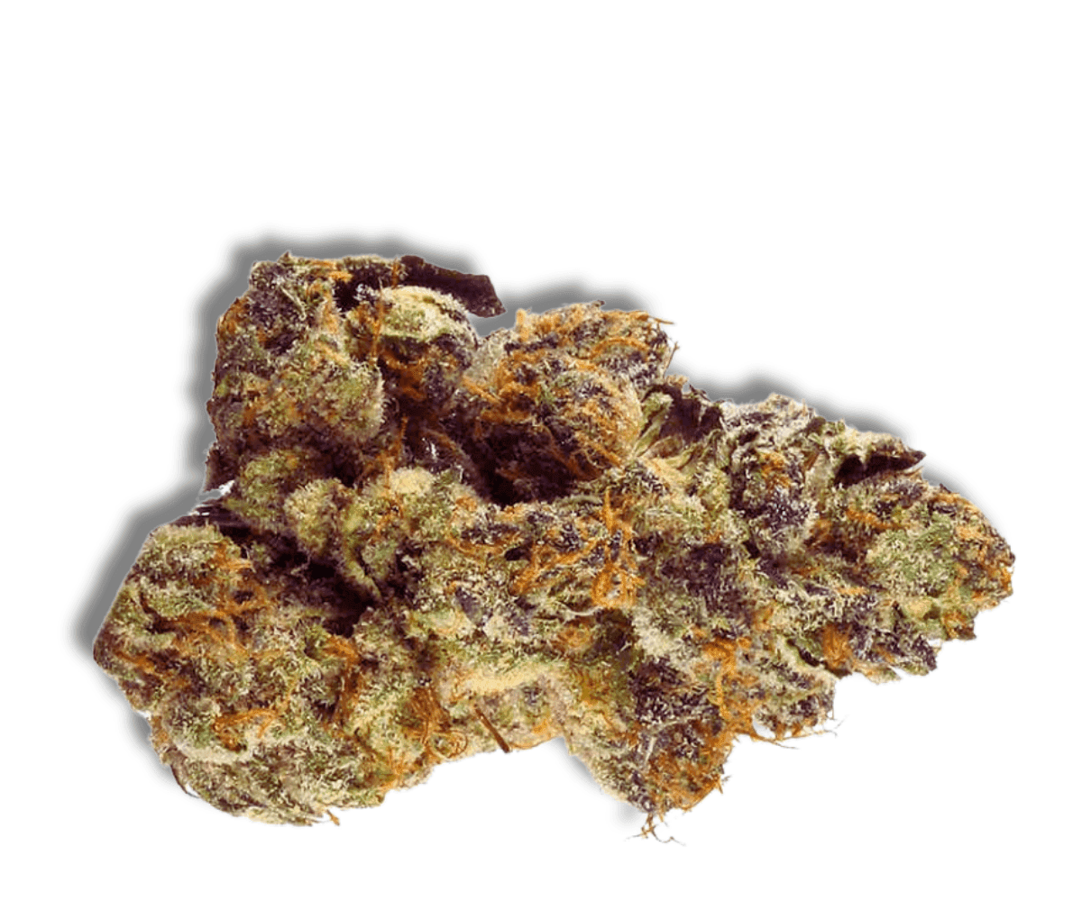 LOT 420 GLT - Gelato 33 LOT 420 GLT - Gelato 33