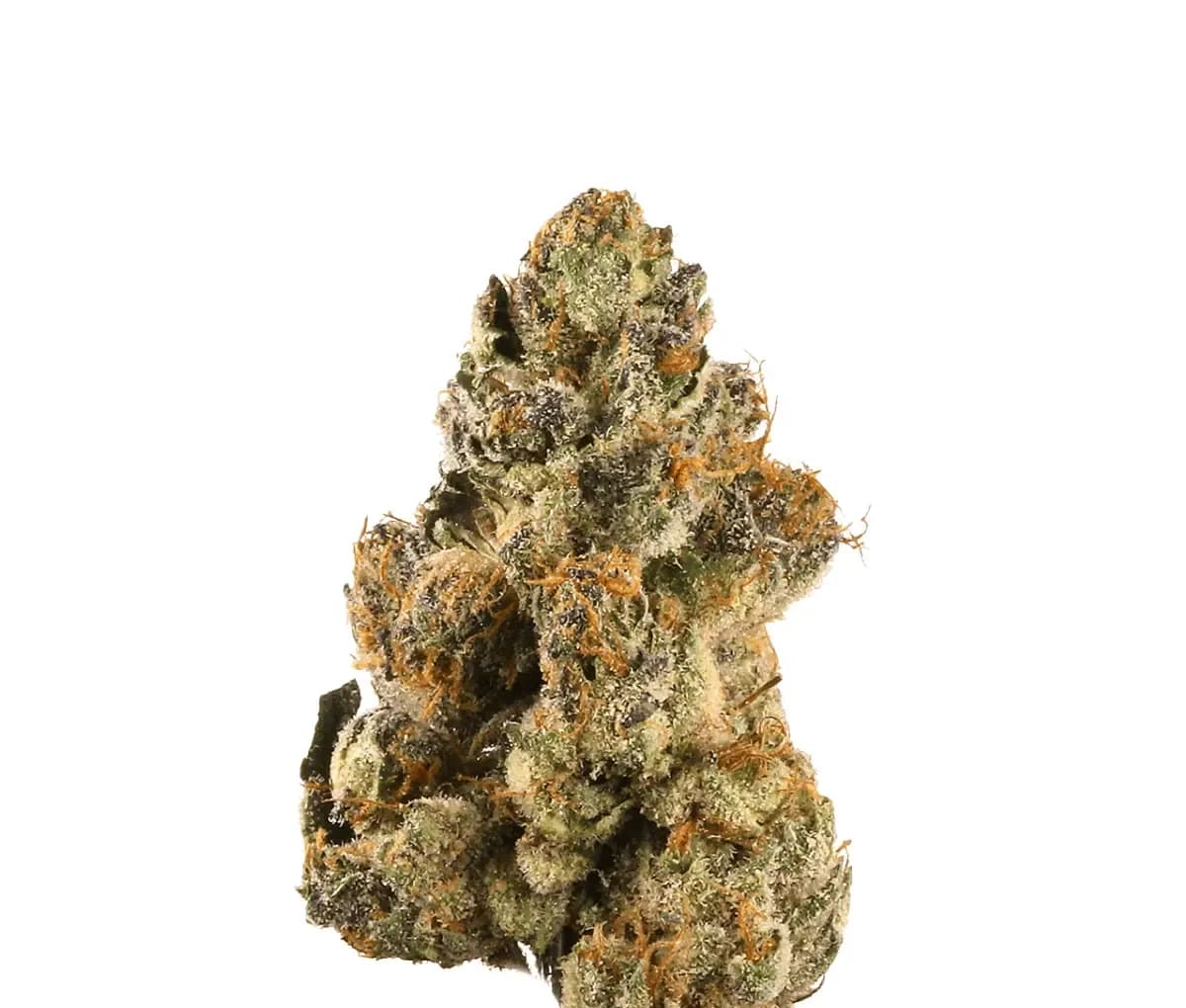 Demecan Craft Electron 31:01 - Gelato OG Kush