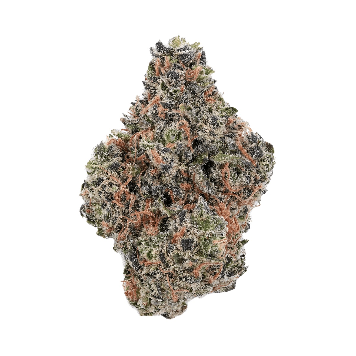 Truth Holdings 30/1 SSA Super Sativa