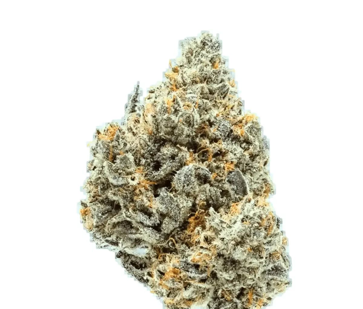 Remexian 24/1 PRT SCK - Strawberry Cookies