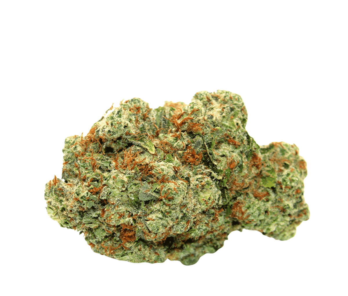 Canify 23/1 PRT - Black Cherry Pie