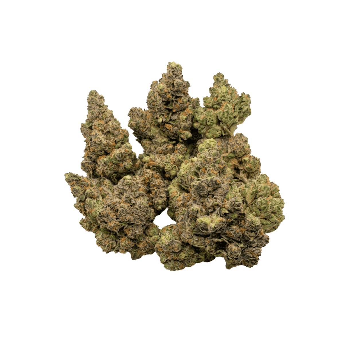 AMP KHI RG THC24 - Royal Gelato