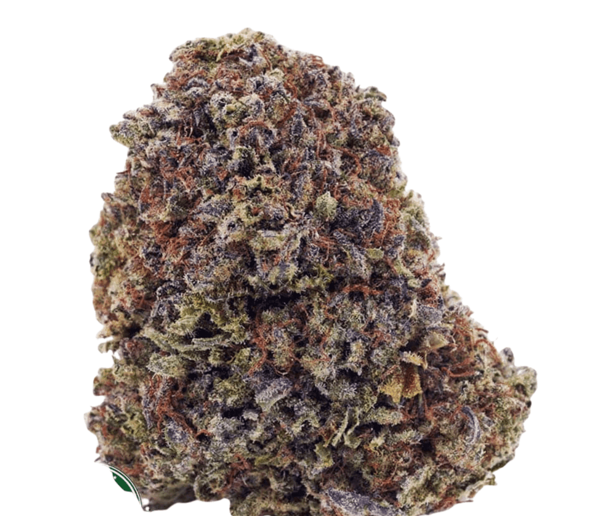 420 Evolution 30/1 CA FFC - Frosted Fruit Cake 420 Evolution 30/1 CA FFC - Frosted Fruit Cake