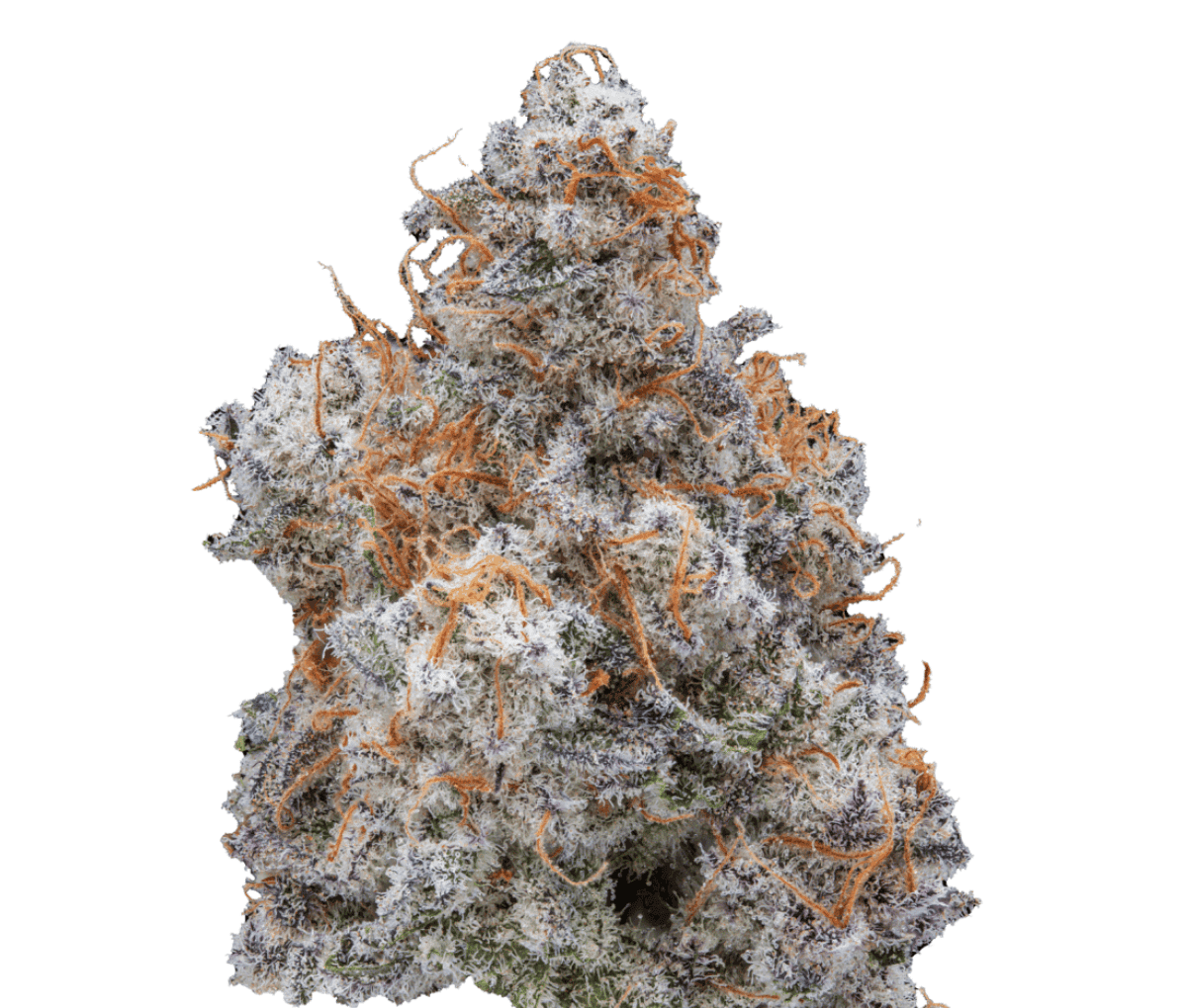 Cannamedical Hybrid classic Mac 1