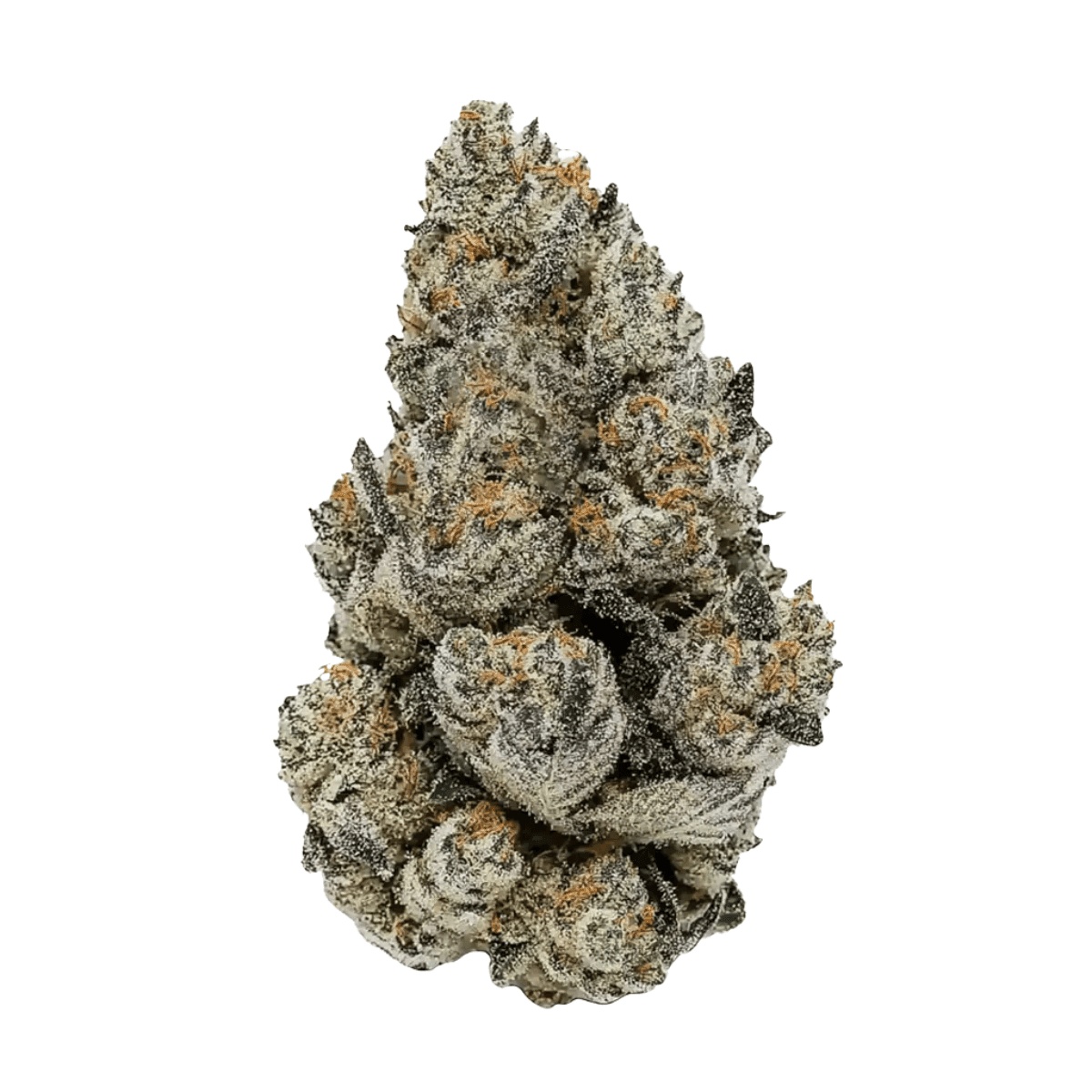 SKK MZ 30/1 - Milkshake Zheetos