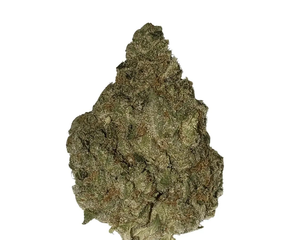Demecan CRAFT D-Jungle 31:01 - Purple Punch X Jungle Cake