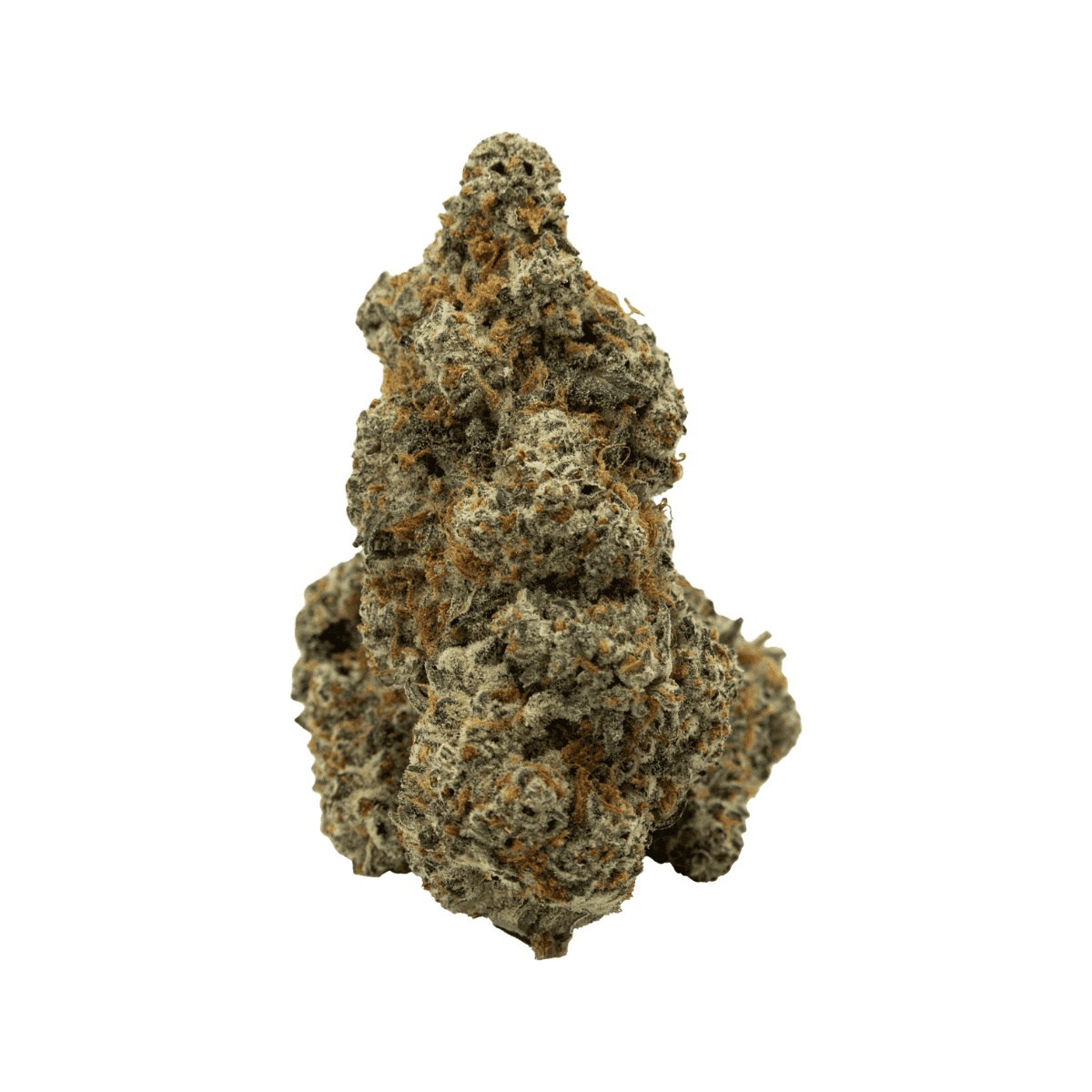 AMP KHI GR THC24 - Grape Dank