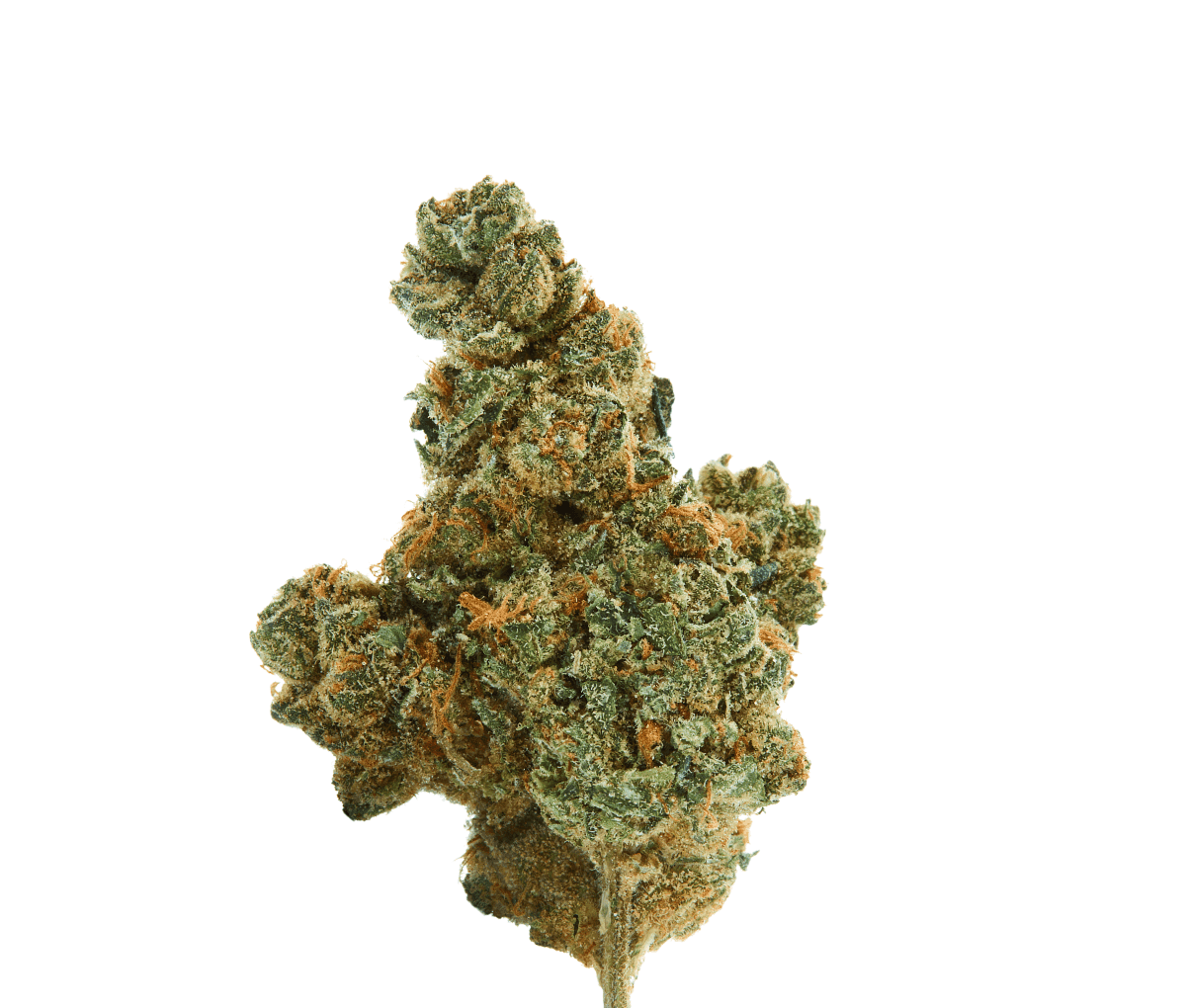 IMC GPI THC26 - Grapple Pie IMC GPI THC26 - Grapple Pie