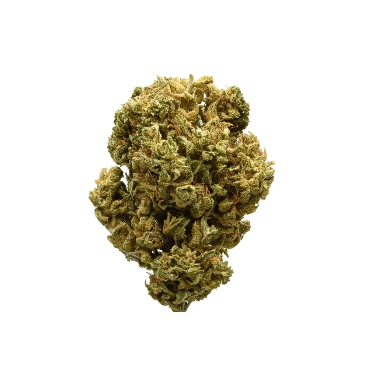 Suprobion MP 25/1 - Magic Power