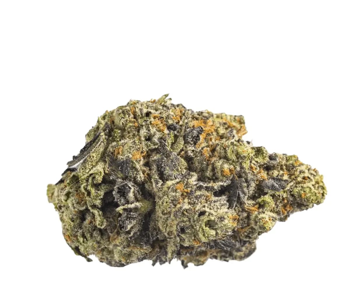 Canopy KMI 30/1 Kush Mints - Kush Mintz Canopy KMI 30/1 Kush Mints - Kush Mintz