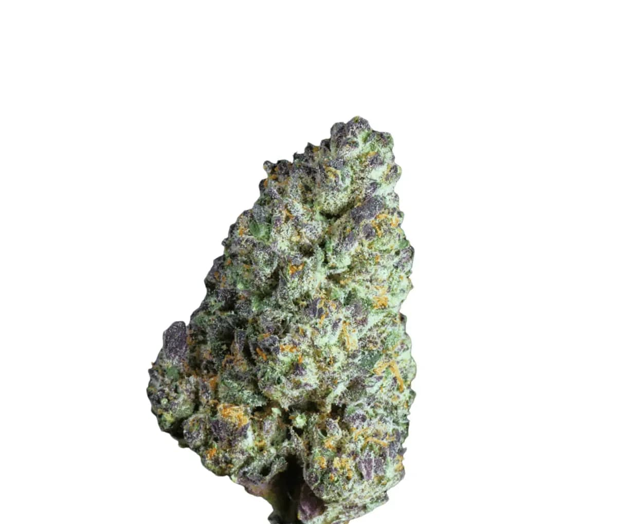 Canify Cannabis Flos 25/1 CSF Ku. - Carnez Citric