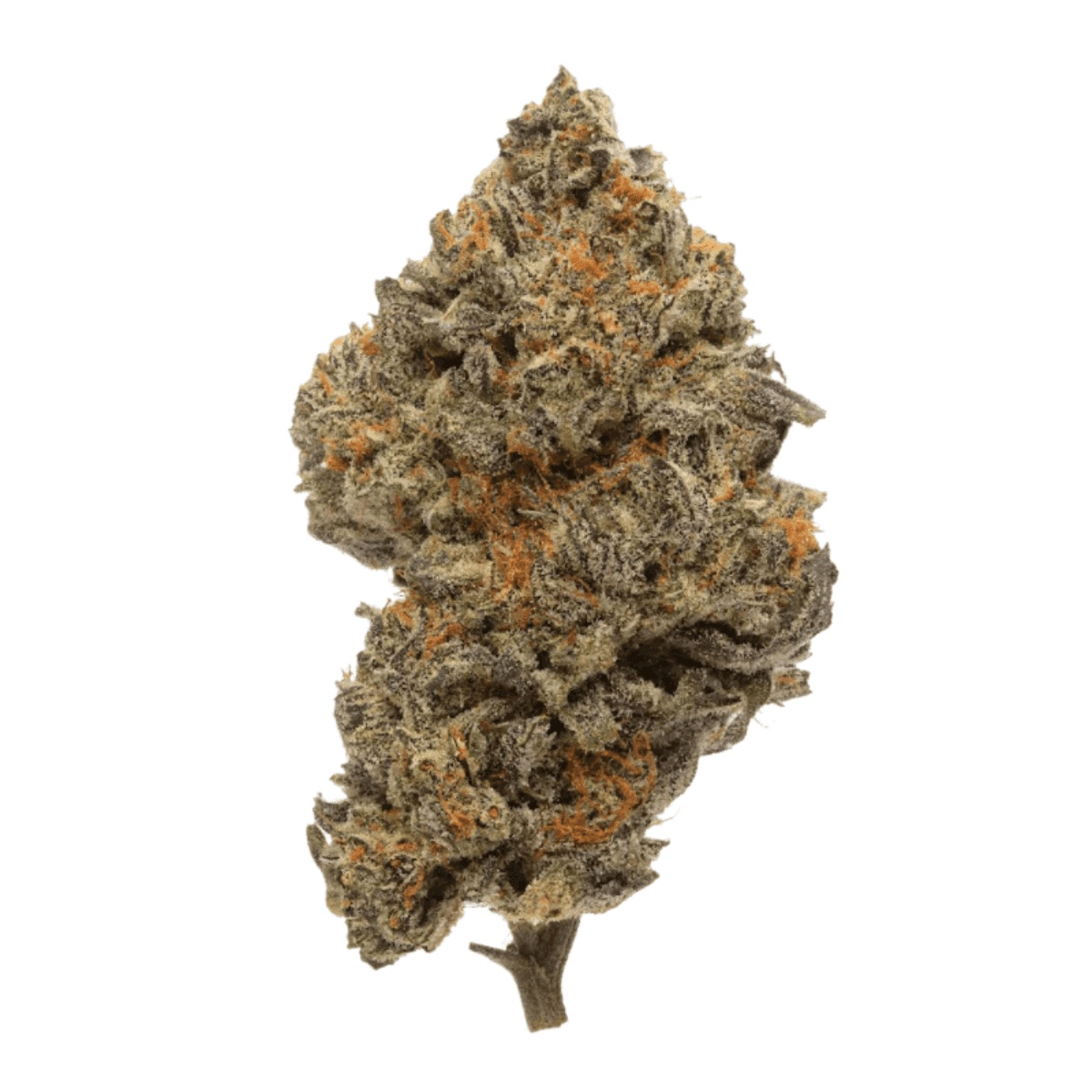 enua 27/1 CPC - Cherry Pie Cookies