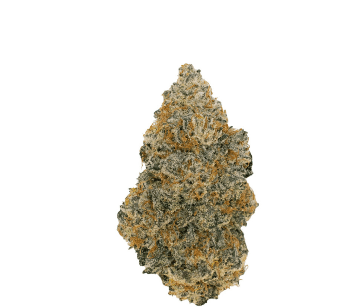 Canify Cannabis flos 30/1 POR Ku. - Chapel of Love Canify Cannabis flos 30/1 POR Ku. - Chapel of Love