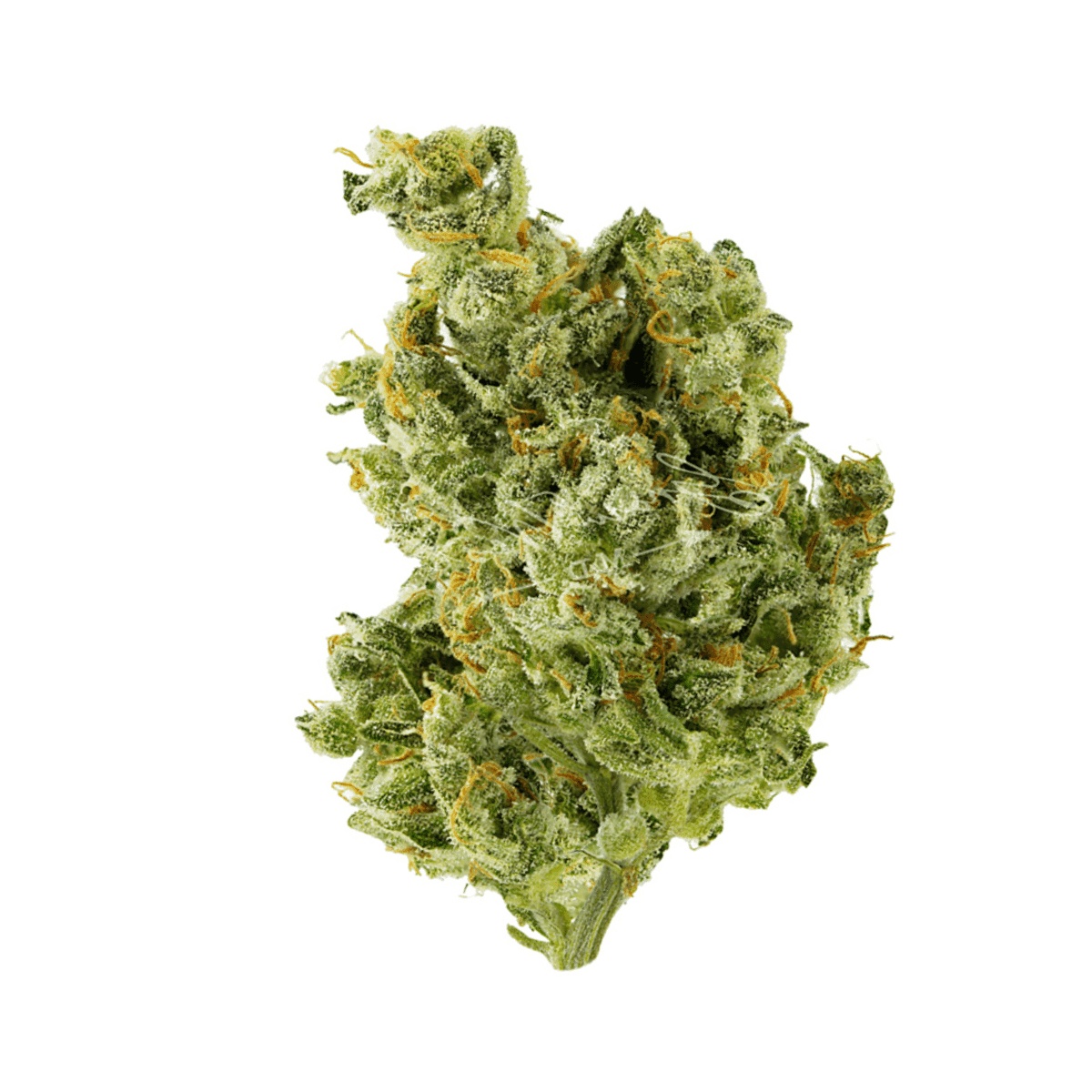 HiDealz 27/1 MS Honeydew Haze Smalls - Honeydew Haze HiDealz 27/1 MS Honeydew Haze Smalls - Honeydew Haze
