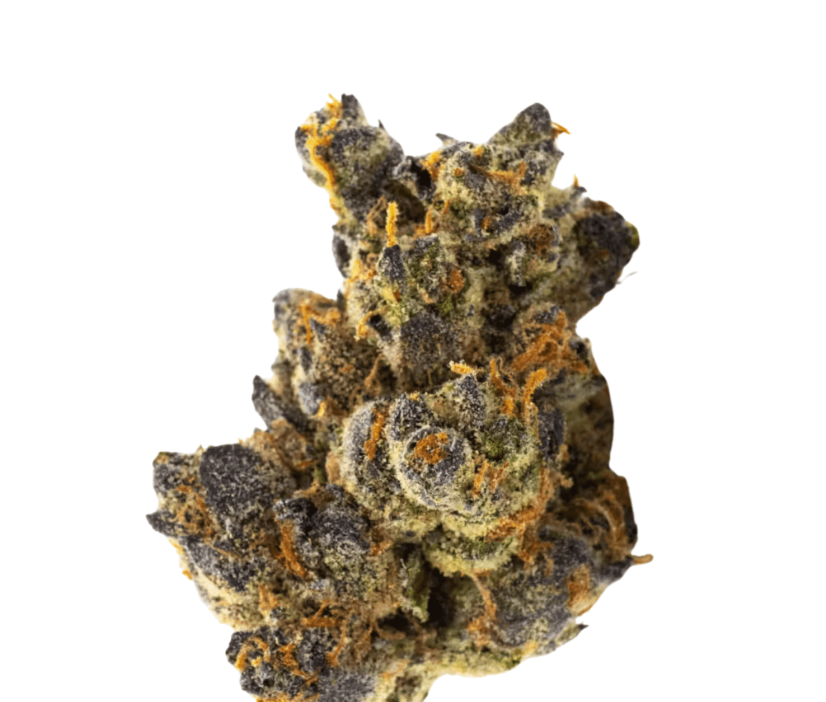 420 Compound 30/1 GAP - Gastro Pop