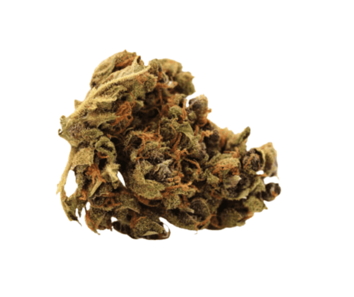 Pedanios 18/1 TNG-CA - Tangerine Dream