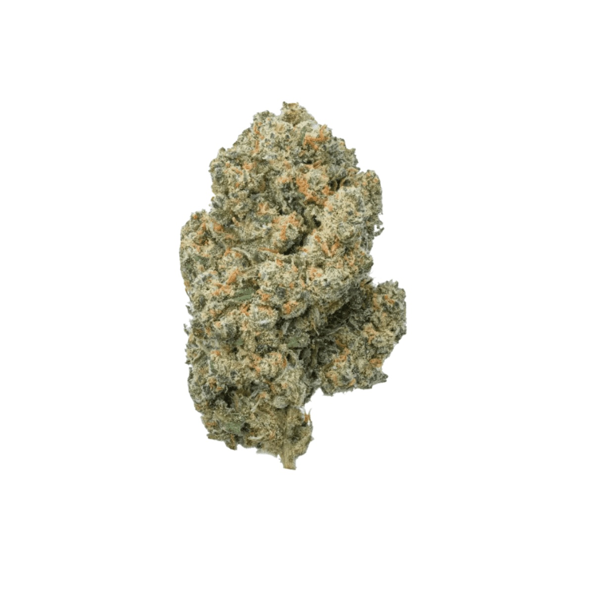Balancial 22/1 PT S1 JH - Jack Herer