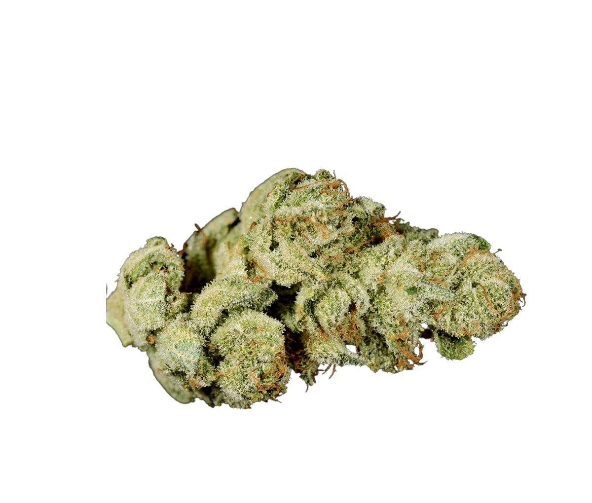 IMC THC25 T03 - T03 Gorilla Glue 4 IMC THC25 T03 - T03 Gorilla Glue 4
