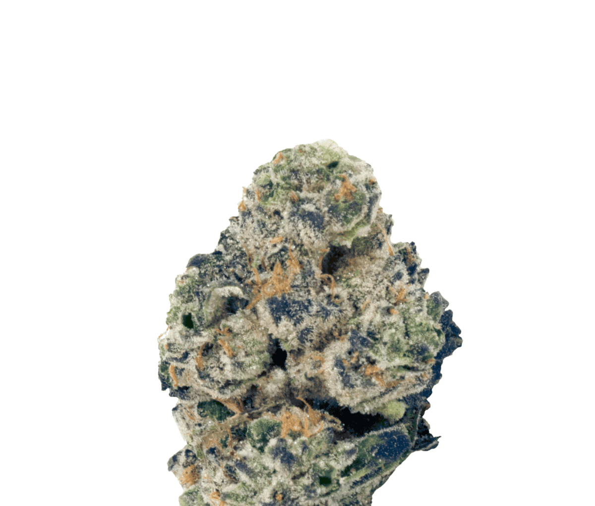 Wellford Peak CA PKM 28/1 - Pink Kush Mints Wellford Peak CA PKM 28/1 - Pink Kush Mints