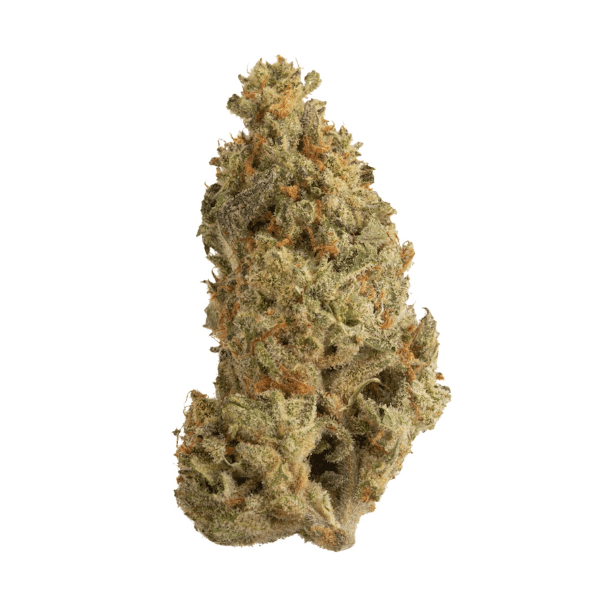 Drapalin 21/1 Kaas - UK Original Cheese x Chemdawg Drapalin 21/1 Kaas - UK Original Cheese x Chemdawg