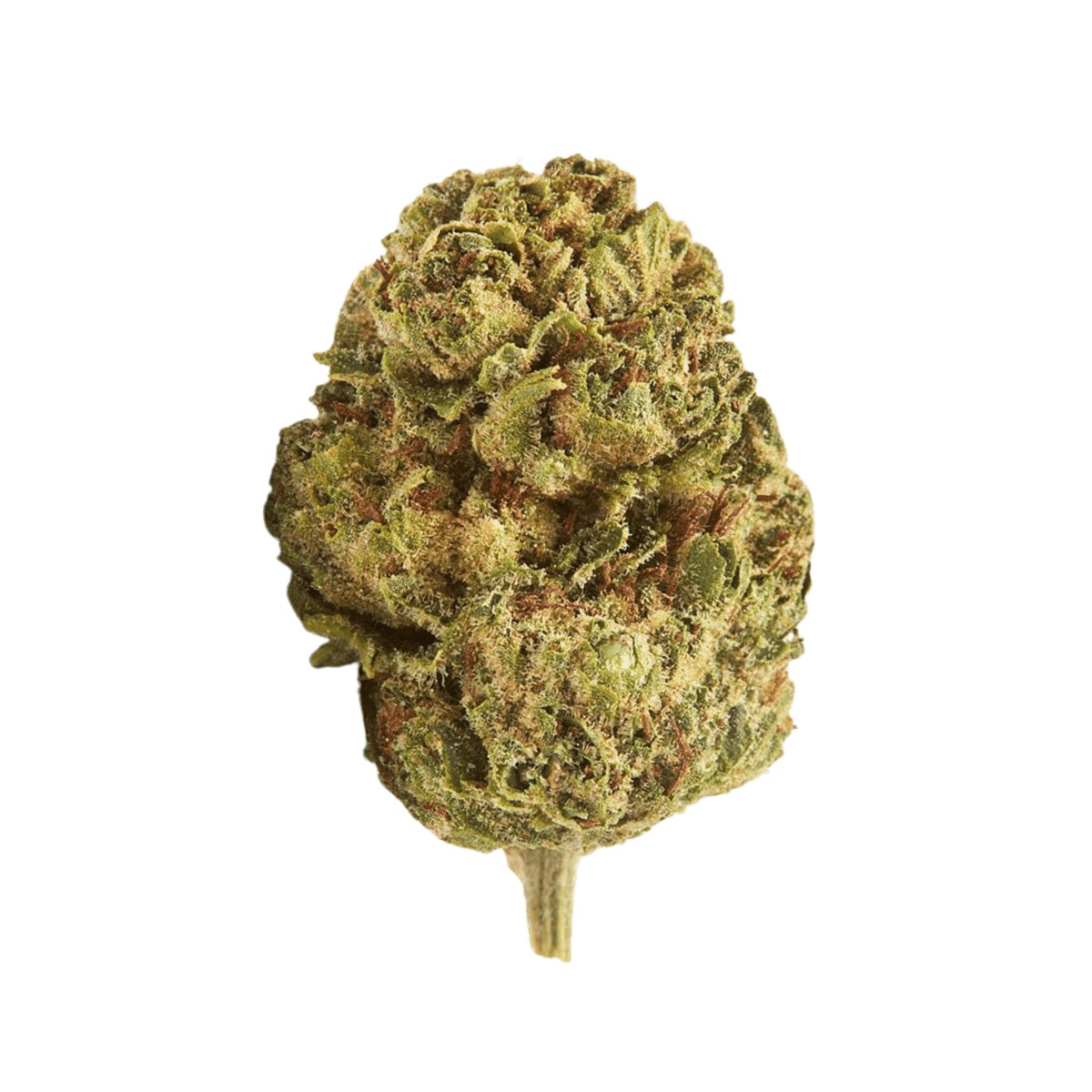 IMC Cannabisblüten RO THC 25 - Roma